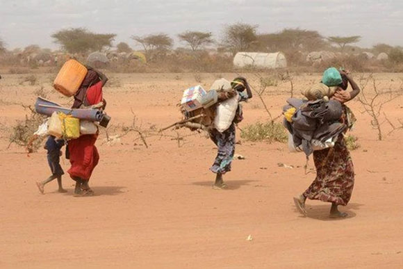 Migration-and-Displacement pic