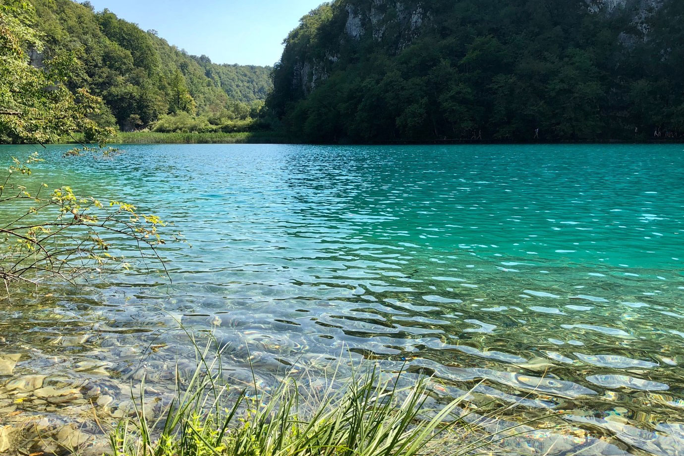 Water-Resource-Management