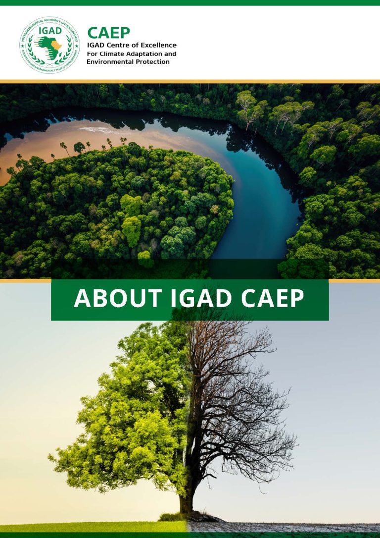 Igad Insect About IGAD Brochure – IGAD CAEP
