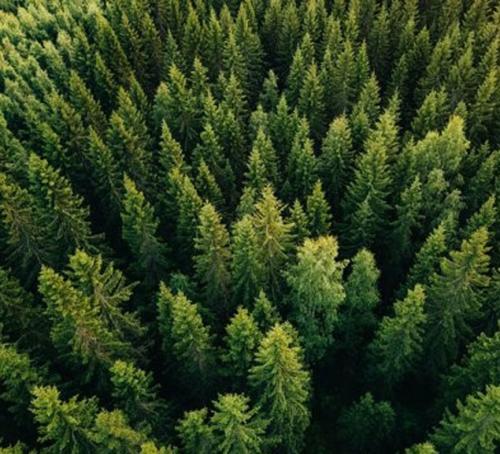 environment-protection-pic