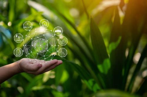 environmental-coom-and-advocacy pic